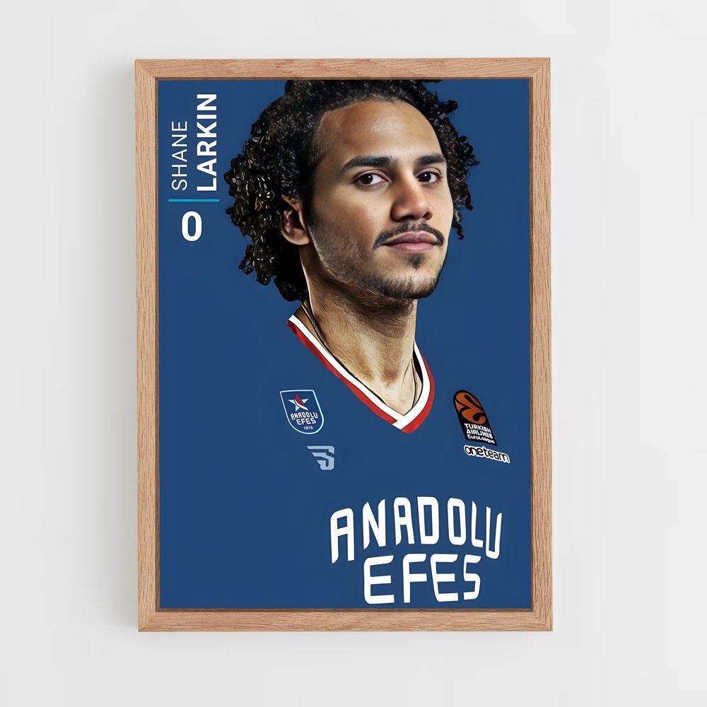 Poster Hairy Dunk – affiche Basketball (vue 4)